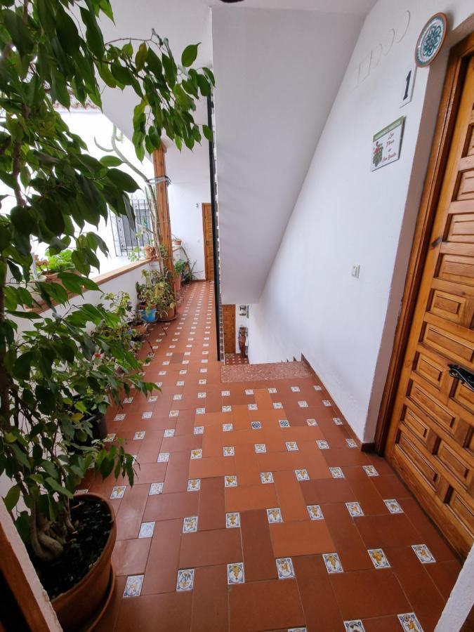 Apartmán Apartamento Entre Patios San Basilio Córdoba Exteriér fotografie